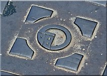 J4569 : Briduc manhole cover, Comber - April 2016(2) by Albert Bridge