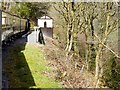SN7078 : Vale of Rheidol Railway, Rheidol Falls Halt by David Dixon
