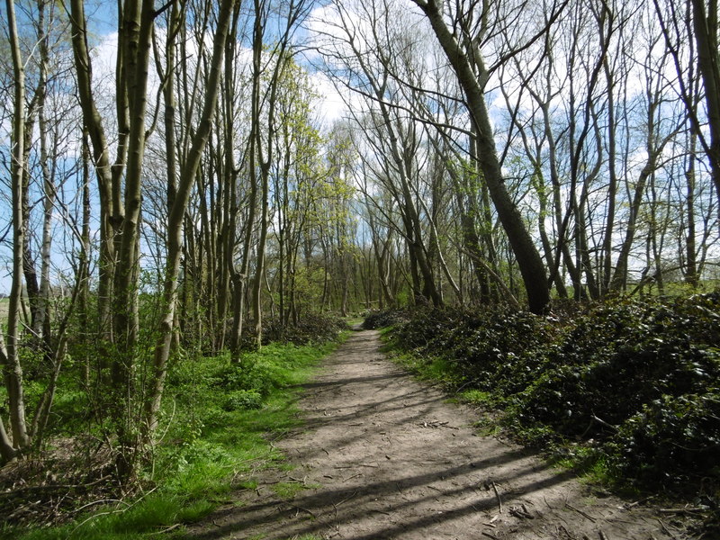 The Green Chain Walk crossing East... © Marathon :: Geograph Britain ...