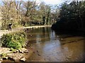 Spring in Endcliffe Park Sheffield