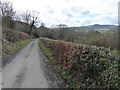 A lane near Hope, near Welshpool