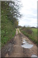 Bridleway near Birch Hall