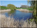 Pond at Crossway Park