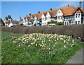 Flowerbed, Worthing seafront