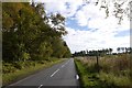 NO3105 : Road through Dykehead Wood by Richard Webb
