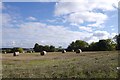 Round bales, Demperston