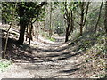 The North Downs Way near Seale