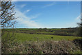 Fields near Pen-wern, St Dogmaels