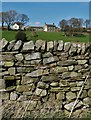 Upper Midhope seen from Low Moor Lane