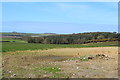 Farmland near Barmuir