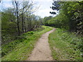 Path alongside the Yeading Brook