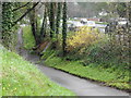 The North Downs Way near Westhumble