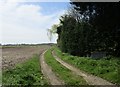 Track off Sands Lane