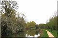 Spring Blossom & Stort Navigation