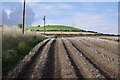 NO3218 : Potato field by Richard Webb