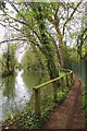 Approaching Harlow Marsh Nature Reserve