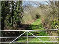 The Ystwyth Trail leaves the trackbed of the Carmarthen to Aberystwyth railway