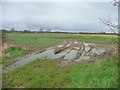 SE5262 : Waterlogged field entrance, south of New Parks Beck by Christine Johnstone