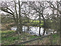 Pond near Barrett