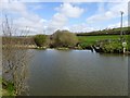 Whalesborough weir where water overflows from Bude Canal into the river