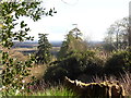 View from Holmbury Hill Road