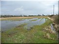 SE5659 : Waterlogged field, north side of Corban Lane by Christine Johnstone