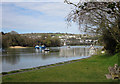 The River Teifi below Cardigan