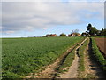 Field track to Old Micklefield