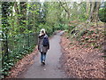 Footpath between The Cross and Church Road, Lymm