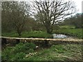 Stone Footbridge