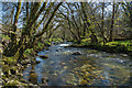 River Walkham