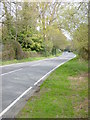 High Beeches Lane looking east