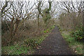 SS6088 : Path at the top of Highpool Lane by Bill Boaden