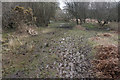 Path heading for the edge of Clyne Common