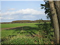 View towards Arglam Wood