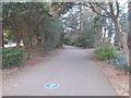 Footpath to Middle Chine - West Cliff Road