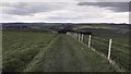 TQ3607 : Southdowns Way - Newmarket Way by James Emmans