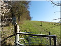 The North Downs Way by Chalkpit Lane