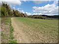 The North Downs Way near Betsoms Farm