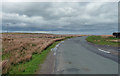 Country road near Dallow (1)