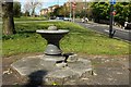 Drinking fountain, Clifton Downs