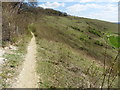 The North Downs Way near Penny Spring Farm