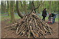 View of a pile of sticks acting as a den for children in Wanstead Park