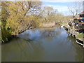 River Avon - Bridge Street