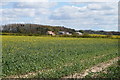 Farm off Chantry Lane