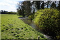 Cock Beck near Low Lead Farm