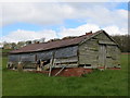 Disused and Derelict (Hen) Shed near Well Spring