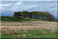 Madge Hill Crag near Pateley Bridge