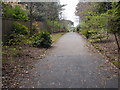 Cherry Tree Walk - West Overcliff Drive