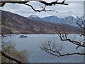 NN4809 : Loch Katrine by Richard Webb
